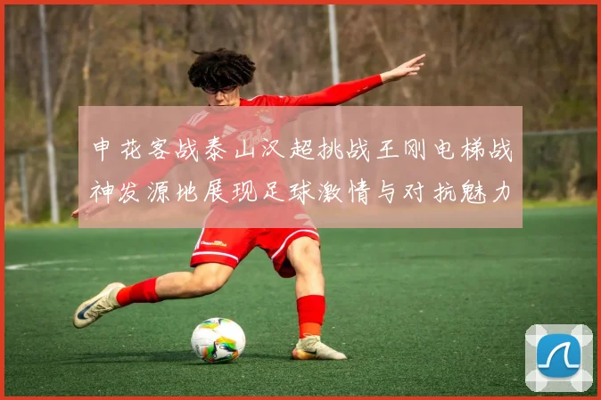 申花客战泰山汉超挑战王刚电梯战神发源地展现足球激情与对抗魅力