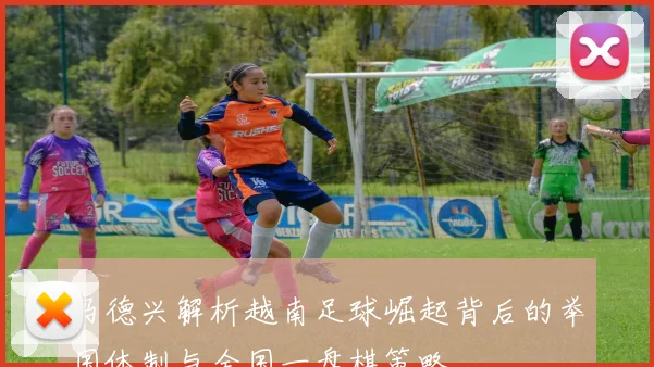 马德兴解析越南足球崛起背后的举国体制与全国一盘棋策略