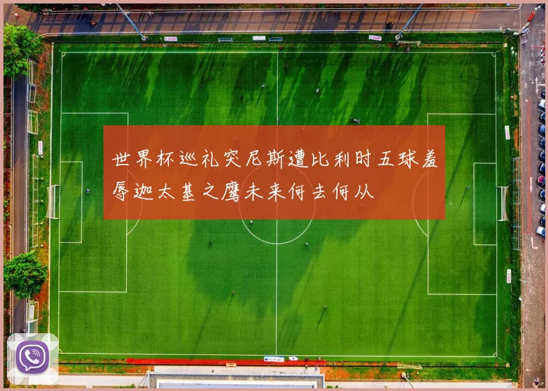 世界杯巡礼突尼斯遭比利时五球羞辱迦太基之鹰未来何去何从