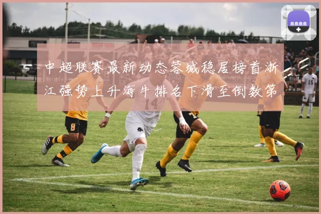 中超联赛最新动态蓉城稳居榜首浙江强势上升海牛排名下滑至倒数第三